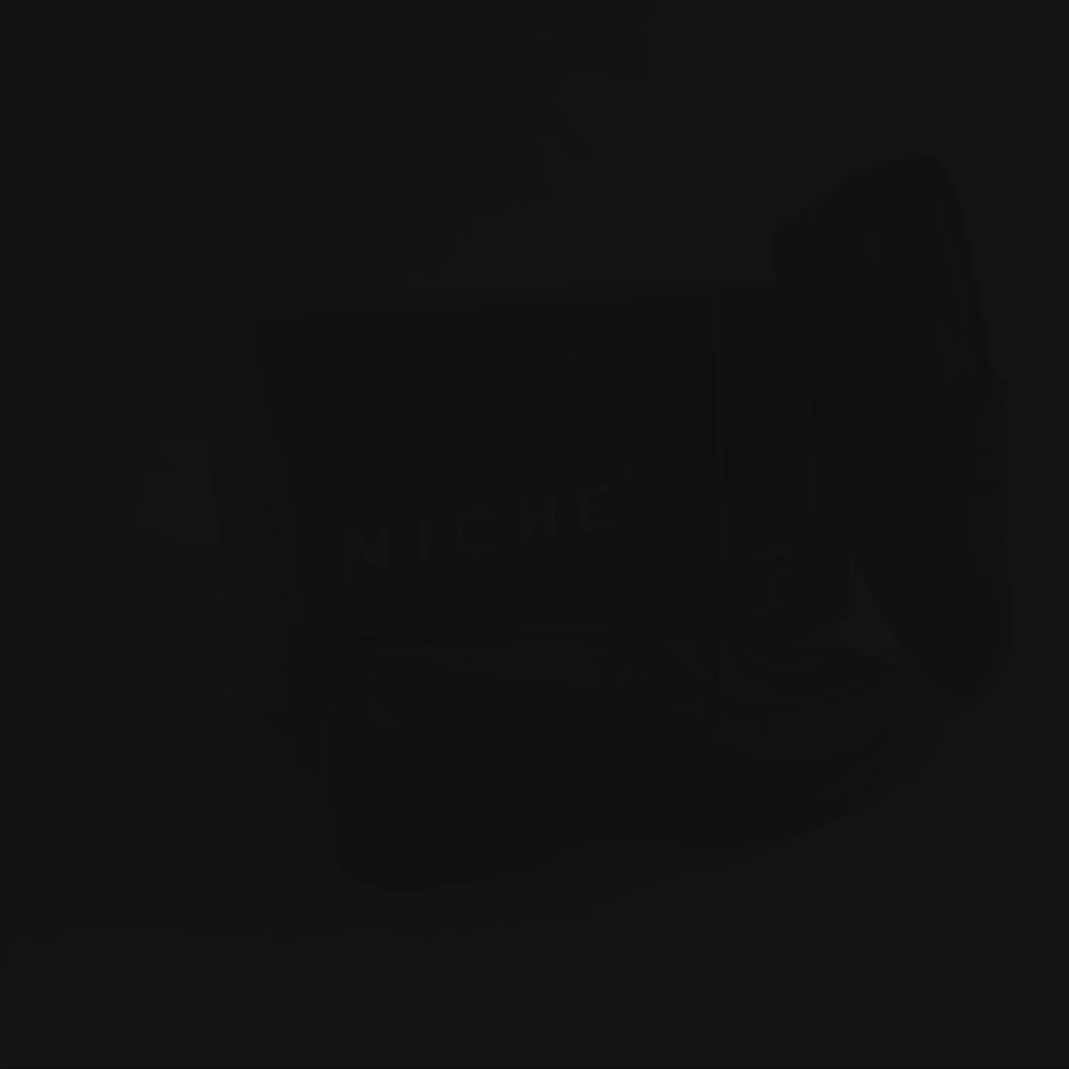 NICHE Elegant Black Penny Loafers