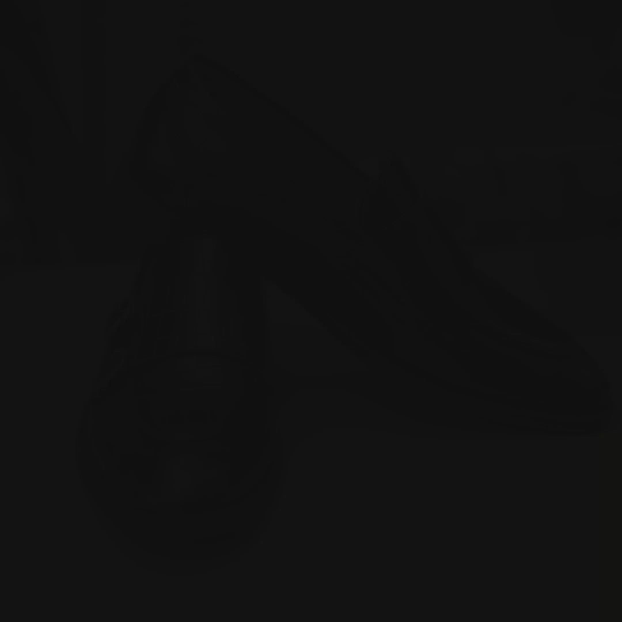 NICHE Black Crco Pattern Luxurious Double Monk Slipons